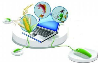 計算機網絡工程驅動農村電商市場邁向萬億新紀元